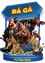 đá gà fly88 quest