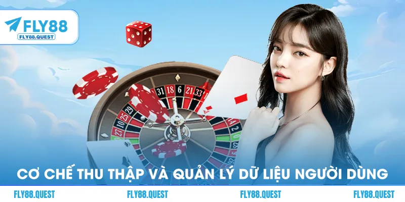 Cơ chế thu thập và quản lý dữ liệu người dùng