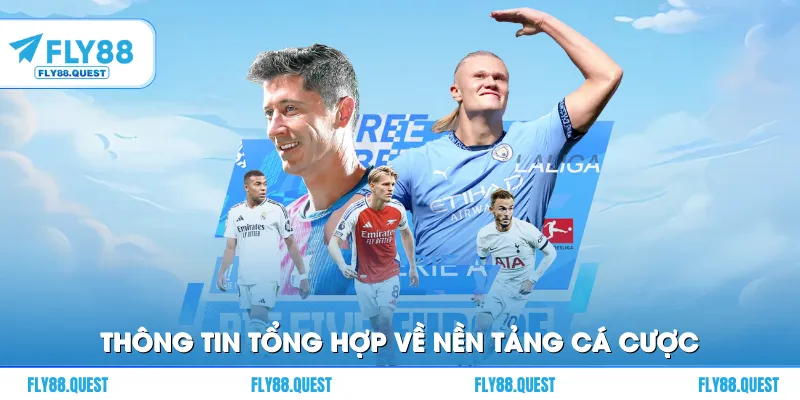 Thông tin tổng hợp về nền tảng cá cược